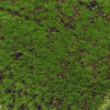 Image of Close up of the Artificial Moss Wall Covering Screen 200cm x 50cm