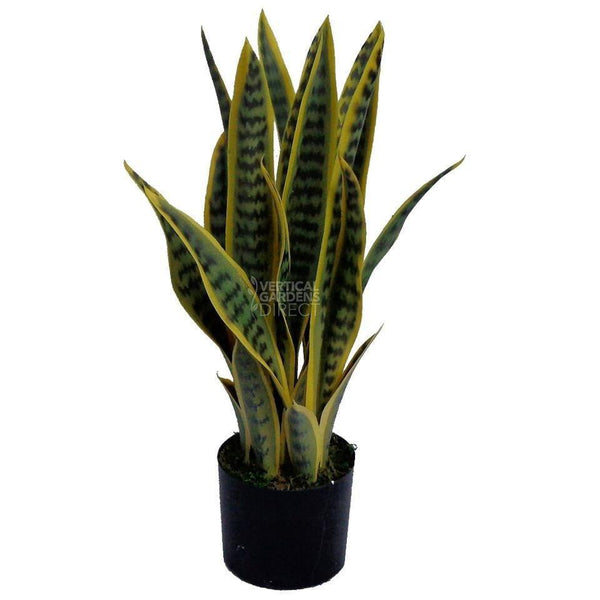 Artificial Mother in Law's Yellow Tongue (Sansevieria) 60cm – Vertical  Gardens Direct