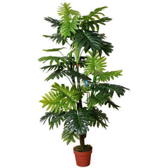 Artificial Multi Trunk Split Leaf King Philodendron 150cm