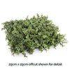 Image of Artificial Natural Buxus Freestanding Hedge 2m x 1m x 30cm UV Stabilised