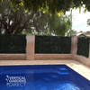 Image of Artificial Photinia Hedge Installed on fence by a pool