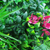 Image of Close Up Foliage and Pink Flower of the Artificial Pink Tropics Vertical Garden Panel 1m x 1m UV Stabilised