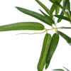 Image of Artificial Real Touch Bamboo Leaves On Natural Trunk 180cm