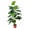 Image of Artificial Taro Plant 150cm
