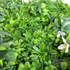 Image of Artificial White Oasis Vertical Garden 1m x 1m Plant Wall Screening Panel UV Protected