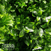 Image of Artificial White Oasis Vertical Garden Sample
