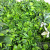 Image of Artificial White Oasis Vertical Garden Sample
