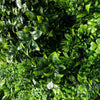 Image of Artificial White Oasis Vertical Garden Sample