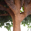 Image of Giant Artificial Ficus Tree (3m To 5m)