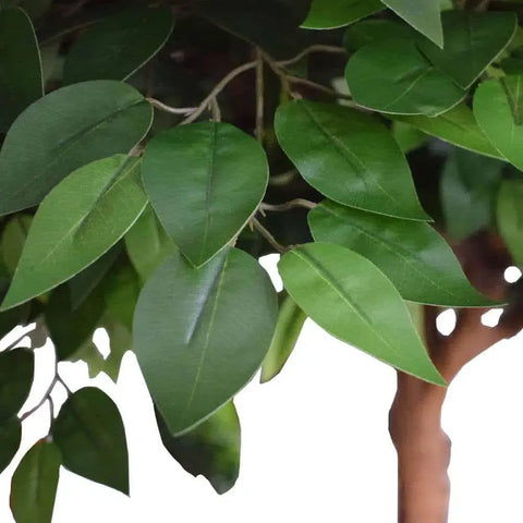 Giant Artificial Ficus Tree (3m To 5m)