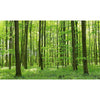 Image of Bright Green Forest Custom Size UV Printed Fence Cover