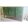 Image of Corten Planters with Box Wood