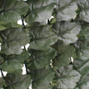 Image of Double Sided Artificial Ivy Roll 3m x 1m Screen
