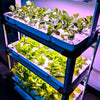 Image of Eponic Little Farm All-in-One Hydroponic Vertical Growing System