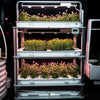 Image of Eponic Little Farm All-in-One Hydroponic Vertical Growing System