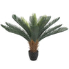 Image of Artificial Potted Cycad Plant 60cm