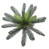 Image of Artificial Potted Cycad Plant 60cm