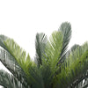 Image of Artificial Potted Cycad Plant 60cm