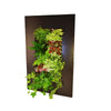 Image of GROVERT MICRO GARDEN WALL FRAME KIT - CHARCOAL
