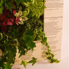 Image of GROVERT MICRO GARDEN WALL FRAME KIT - PAINT YOUR OWN
