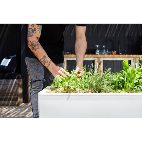 Glowpear Large Self Watering Cafe Planter