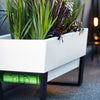 Image of Glowpear Urban Garden Self Watering Planter Box