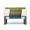 Image of Glowpear Urban Garden Self Watering Planter Box