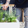 Image of Glowpear Urban Garden Self Watering Planter Box
