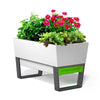 Image of Glowpear Urban Garden Self Watering Planter Box