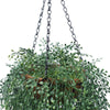 Image of Hanging Basket With Artificial String Of Pearls - UV Stabilised 110cm