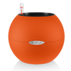 Image of Lechuza Puro 20 Diameter Self Watering Pot - 20cm