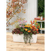 Image of Lechuza Balconera 50 Self Watering Pot - 50cm