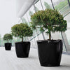Image of Lechuza CLASSICO 70 Premium - Planter Only