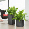 Image of Lechuza Canto Cube 30 Self Watering Pot - 30cm