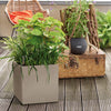 Image of Lechuza Canto Cube 30 Self Watering Pot - 30cm