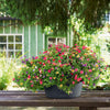 Image of Lechuza Cascada 49cm Self Watering Cascade Planter
