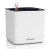 Image of Lechuza Cube 16 Self Watering Pot - 16cm