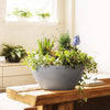 Image of Lechuza Cubeto 30 Self Watering Pot - 30cm