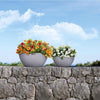 Image of Lechuza Cubeto 30 Self Watering Pot - 30cm