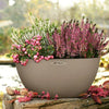 Image of Lechuza Cubeto 30 Self Watering Pot - 30cm