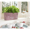 Image of Lechuza Delta 20 Self Watering Table Planter