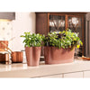 Image of Lechuza Delta 20 Self Watering Table Planter