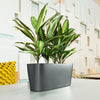 Image of Lechuza Delta 20 Self Watering Table Planter