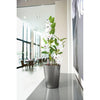 Image of Lechuza Deltini Self Watering Pot