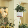 Image of Lechuza Macramé hanger for YULA Planter