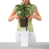 Image of Lechuza Maxi Cubi Self Watering Pot