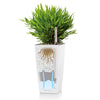 Image of Lechuza Maxi Cubi Self Watering Pot