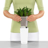 Image of Lechuza Mini Cubi Self Watering Pot