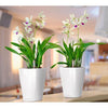 Image of Lechuza Mini Deltini Self Watering Pot