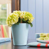 Image of Lechuza Mini Deltini Self Watering Pot